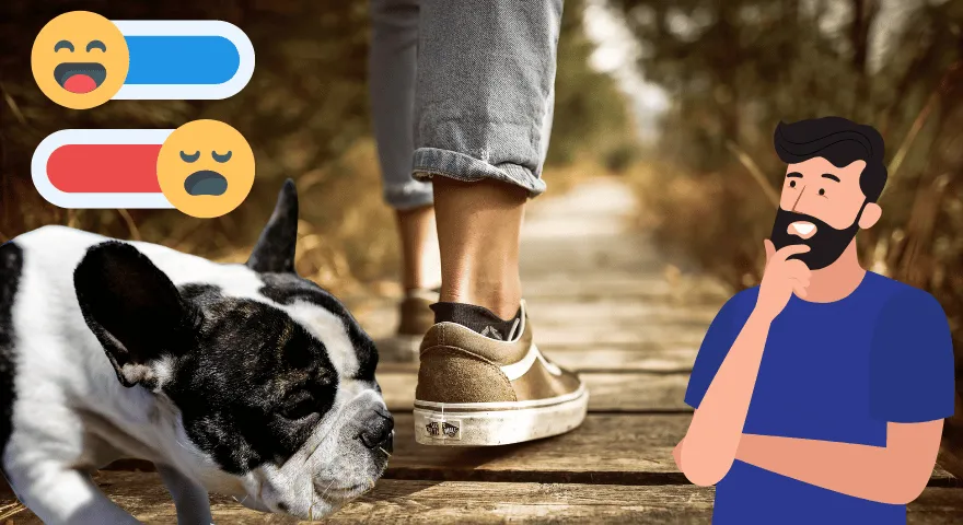 Psy rozpoznają, czy dana osoba jest dobra, czy zła