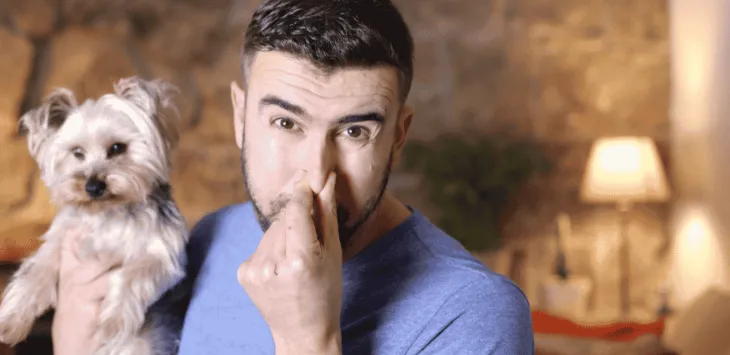 犬は金属のような匂いがする