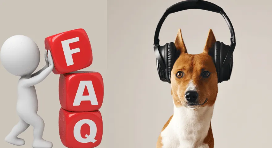 Usein kysytyt kysymykset (FAQ) musiikin vaikutuksesta koiriin