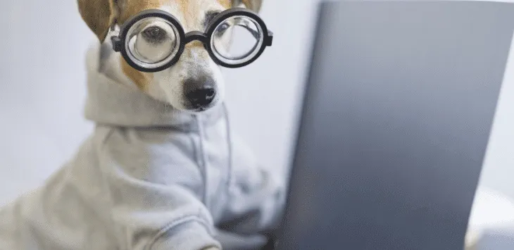 Hvor lang tid er en enkelt dag for en hund