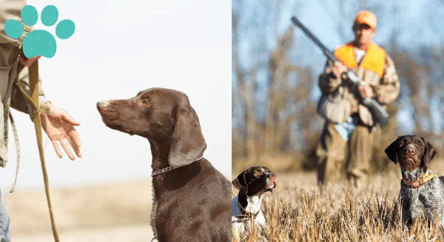 Szkolenie DIY a szkolenie zawodowe