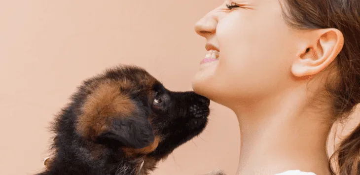 Codzienna rutyna dla nowego szczeniaka. 4 Standardy.