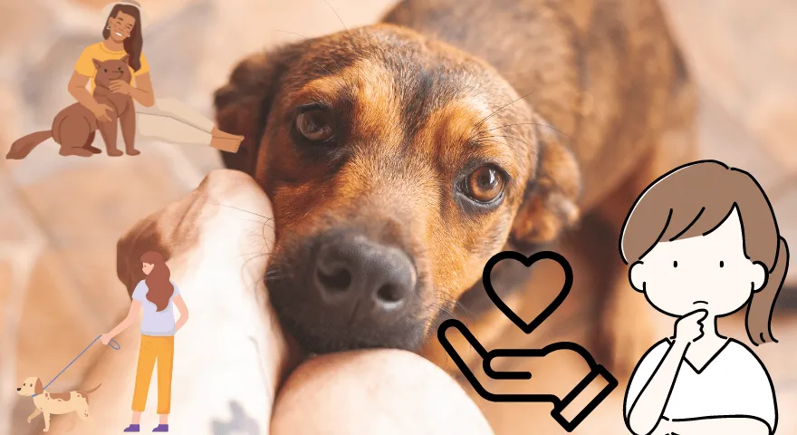 Jak sprawić, by Twój pies był najbardziej lojalnym zwierzakiem