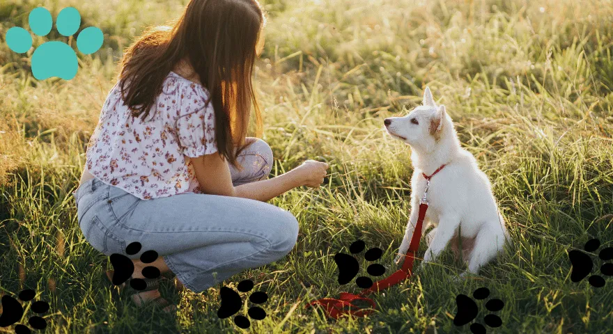 Teknik Latihan untuk Mengekang Lompatan