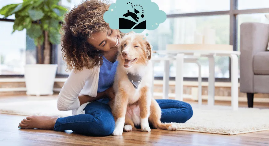 kiedy szczenięta mogą wychodzić na dwór' title='Kiedy szczenięta mogą wychodzić na dwór?