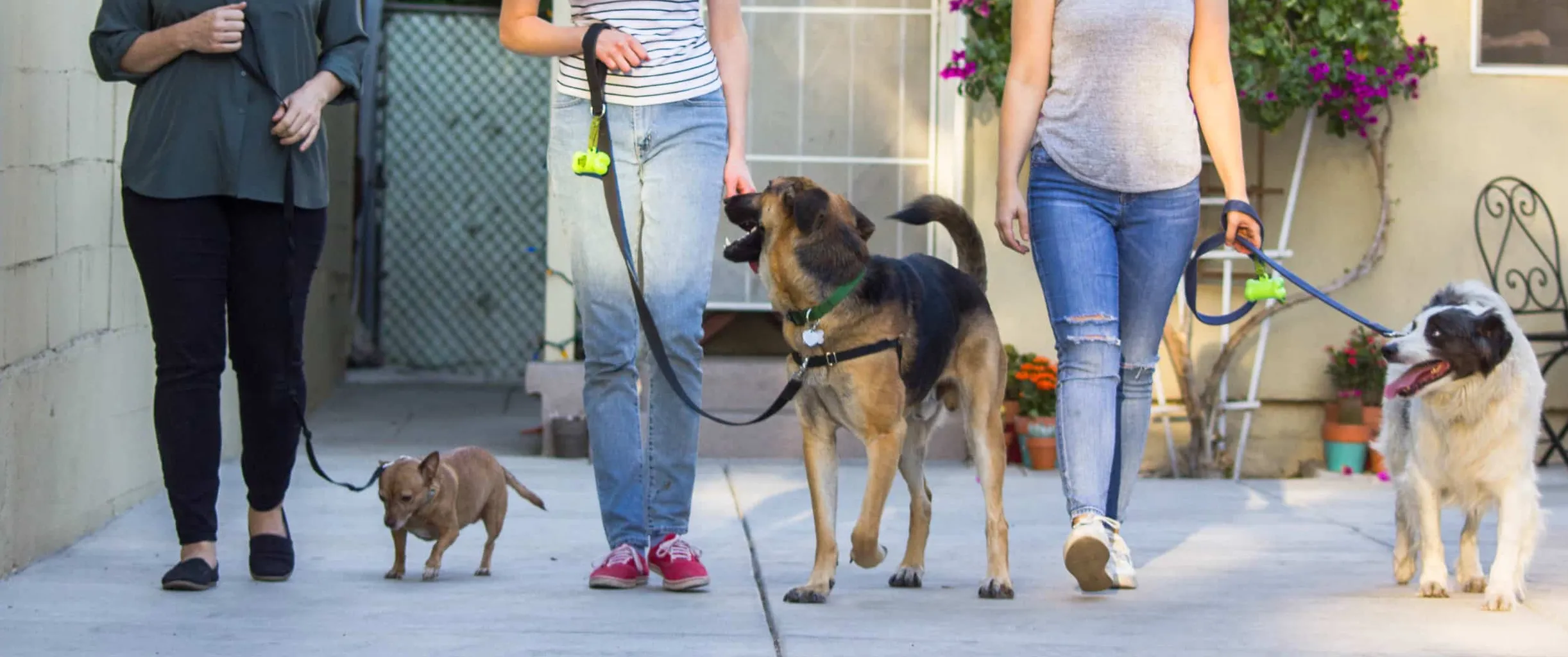 Wskazówki dotyczące wychowywania psa przyjaznego ludziom