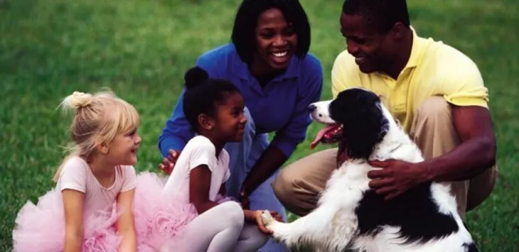 6 patarimai, kaip auginti žmonėms draugišką šunį