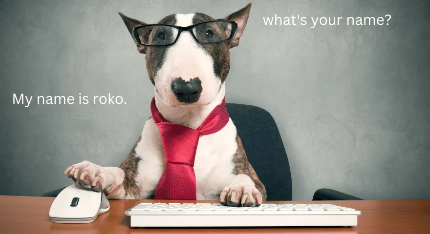 Skąd psy znają swoje imiona, kiedy je wołamy