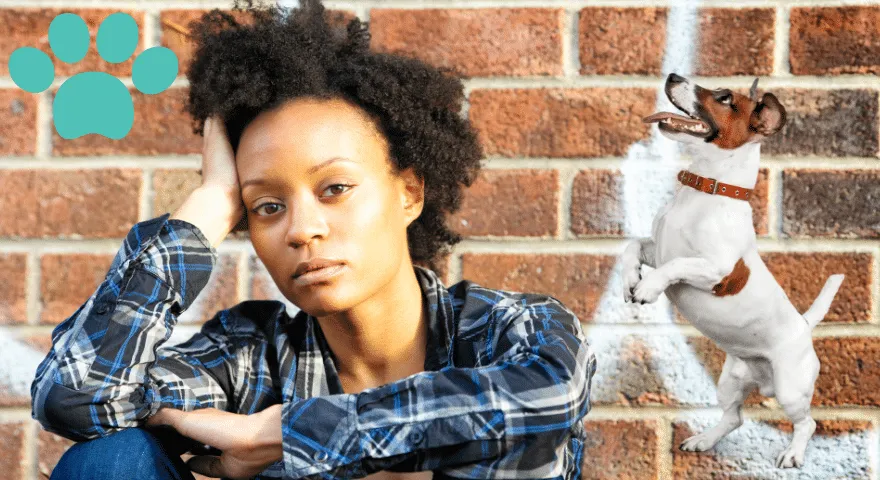 Megbirkózni egy kedvenc kutya elvesztésével