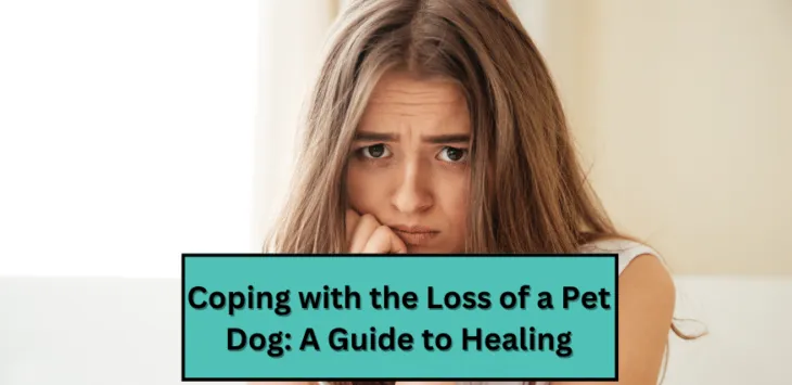 Megküzdeni egy kedvenc kutya elvesztésével: Útmutató a gyógyuláshoz