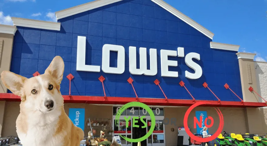 ローズは犬に優しいですか