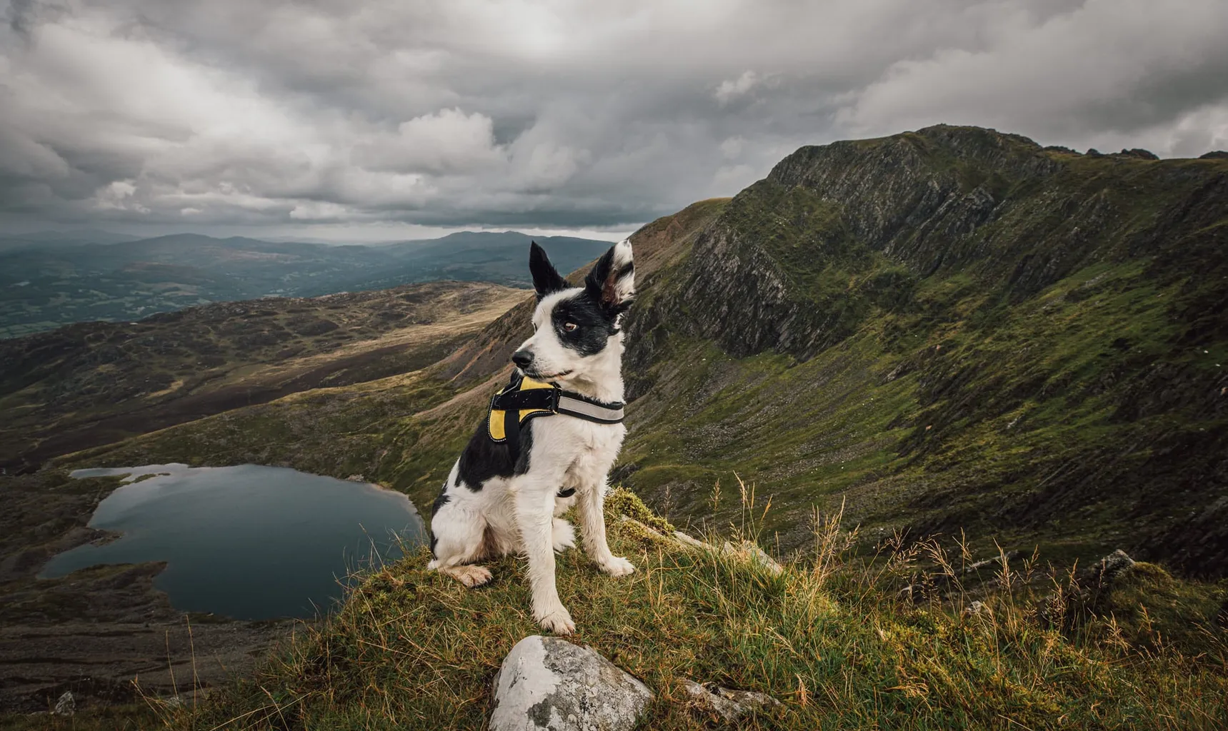 Koiraystävälliset lomapaikat Isossa-Britanniassa
