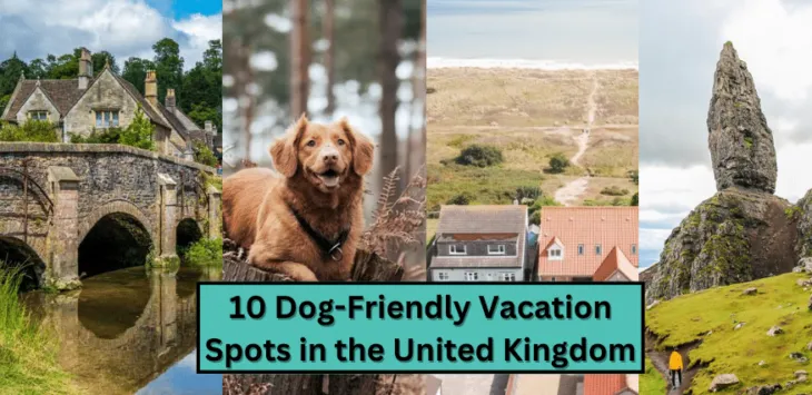 10 koiraystävällistä lomapaikkaa Yhdistyneessä kuningaskunnassa