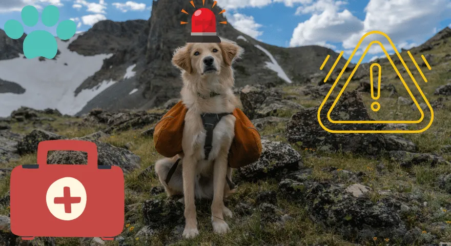 nouzové situace při pěší turistice