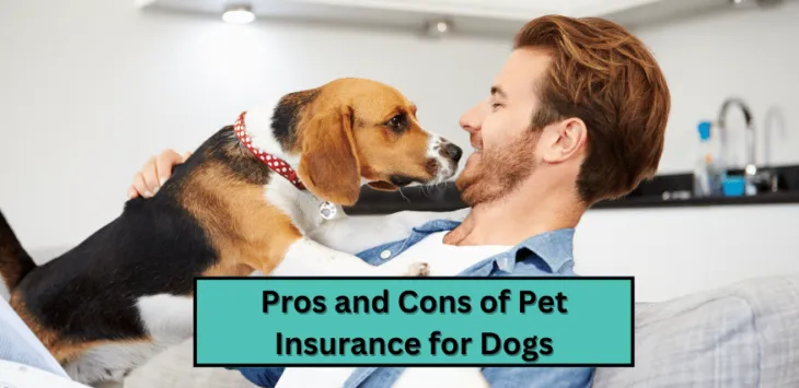 Pros i contres de l'assegurança per a mascotes per a gossos