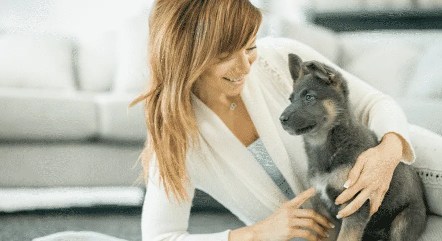 Jak przetrwać pierwszy tydzień szczenięcia