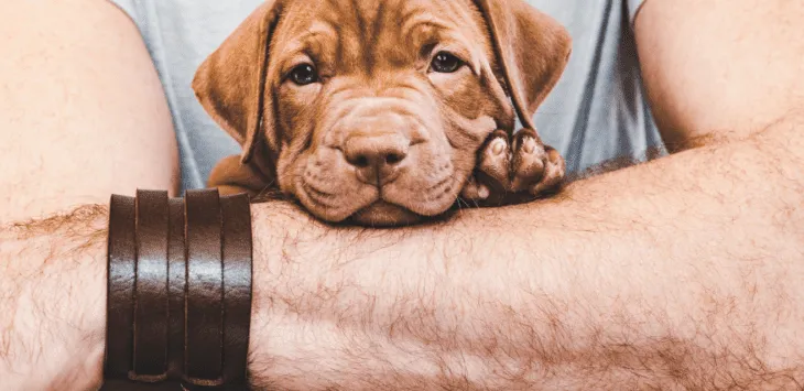 Jak przetrwać pierwszy tydzień szczenięcia