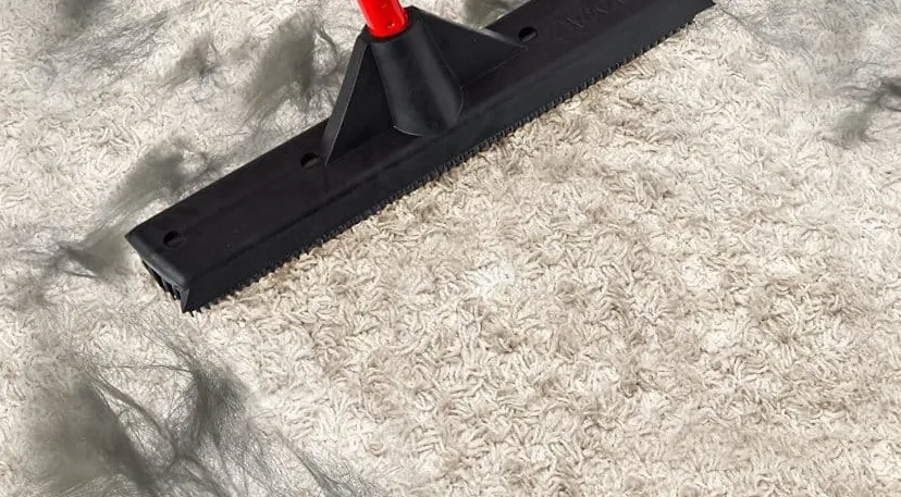 Jak usunąć sierść psa z dywanu jak profesjonalista