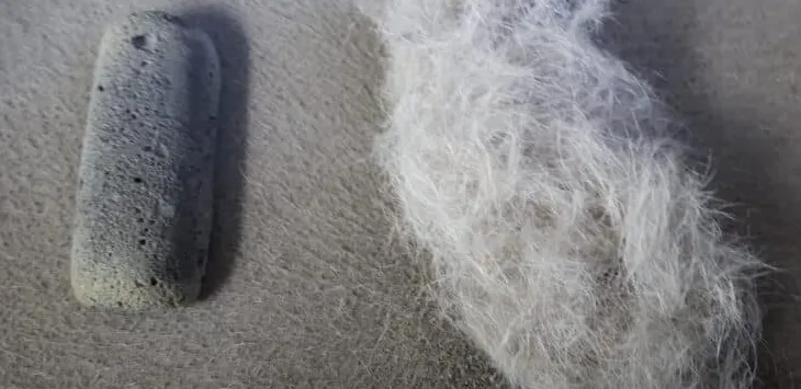 Hogyan szedjük ki a kutyaszőrt a szőnyegből, mint egy profi