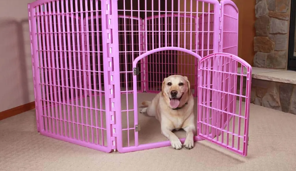 Оставяне на кученце в кошара по време на работа