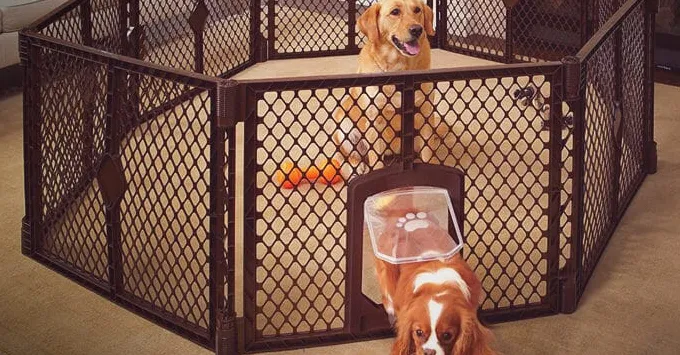 Deixar el cadell al corral mentre està a la feina