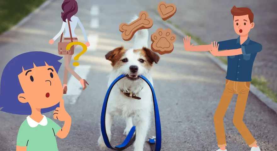 Un chien sans laisse s