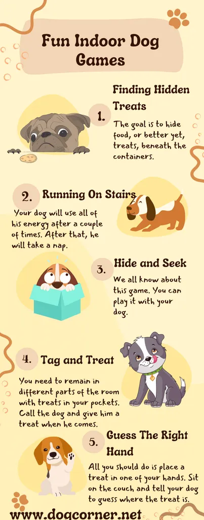 Zabawne gry dla psów w pomieszczeniach