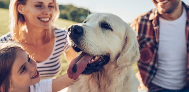 25 Peretasan Kehidupan Fantastis untuk Pemilik Anjing