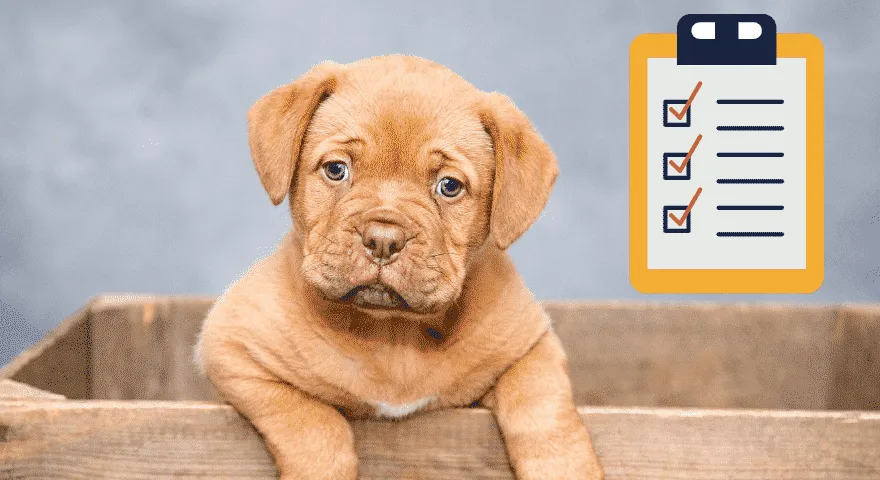 Co należy zrobić, gdy szczeniak opuszcza matkę?