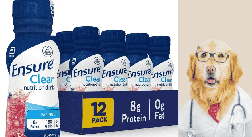 Se till att de är säkra för hundar