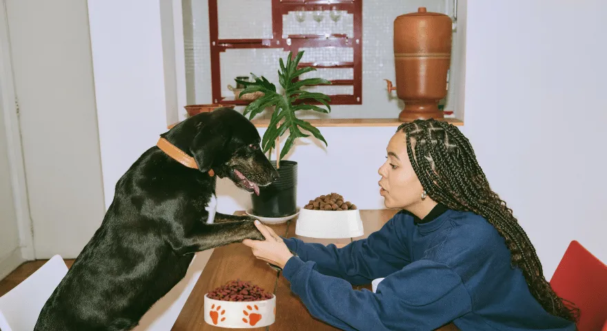 Idealna ilość jedzenia dla Twojego szczenięcia