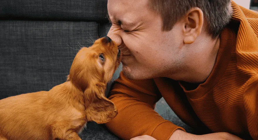 ugryzienie przez szczeniaka nosa