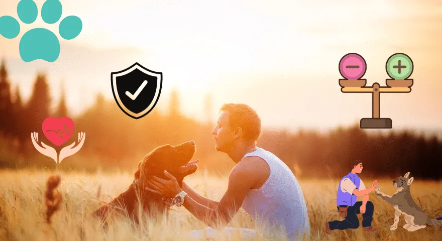 Τα οφέλη της υιοθεσίας ηλικιωμένων σκύλων