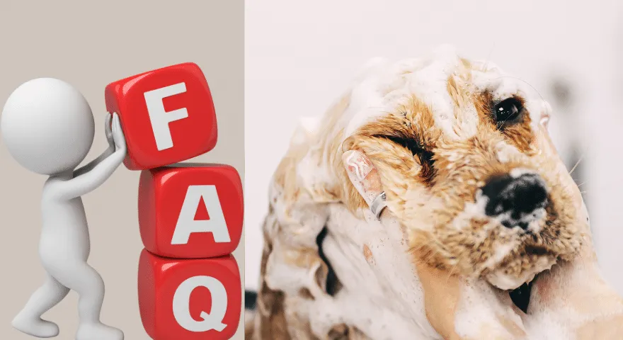 orgaaniliste koerte šampoonide KKK