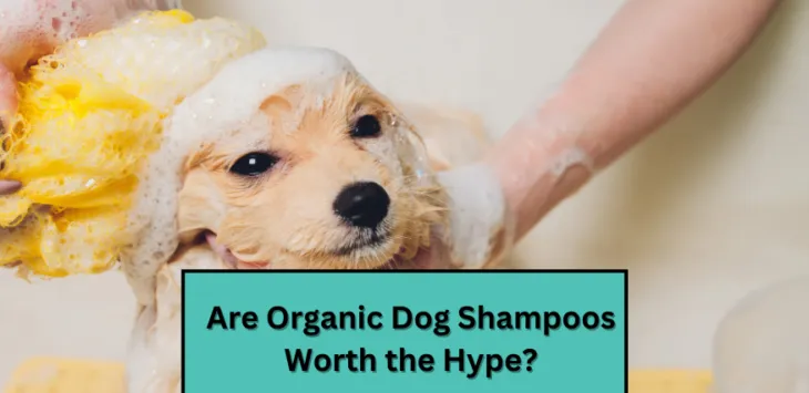 Kas mahepõllumajanduslikud koerašampoonid on reklaami väärt?