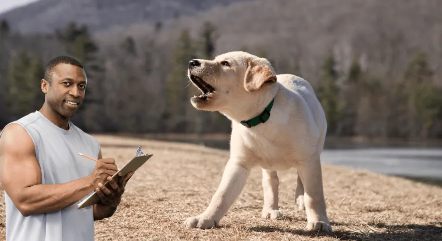 Jak wytresować szczeniaka, aby nie szczekał
