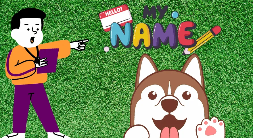 Szkolenie szczeniąt w wieku 8–10 tygodni