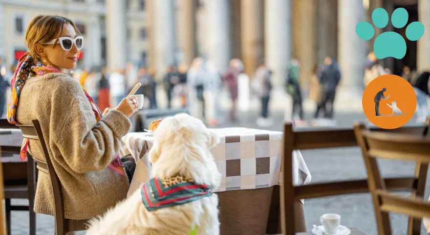 Обука паса за урбано окружење