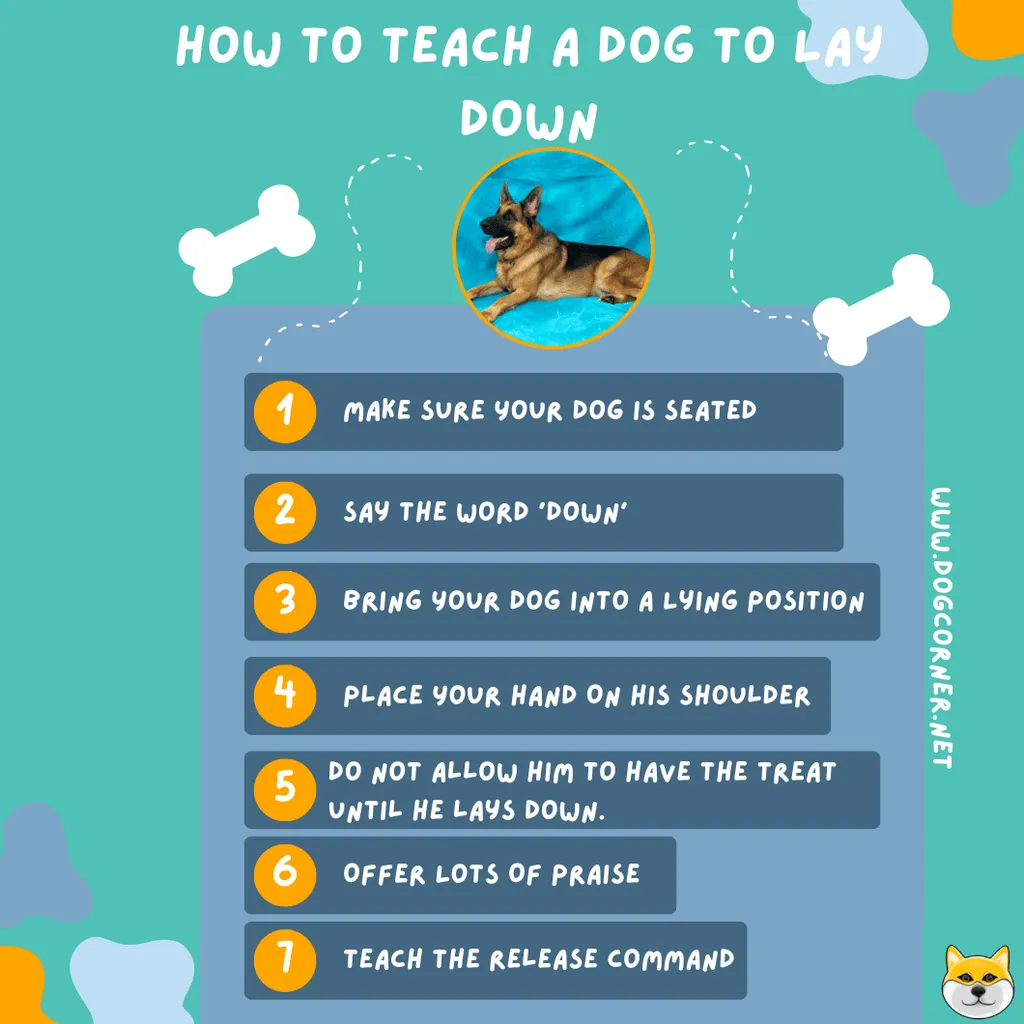 Kako psa naučiti ležati