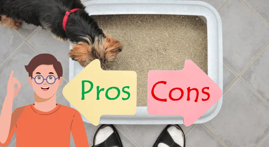 Bac à litière dressant un chien pour et contre