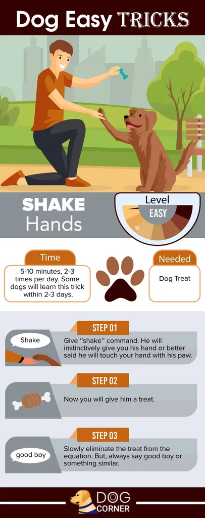 uścisnąć dłoń, łatwa sztuczka, której możesz nauczyć swojego psa
