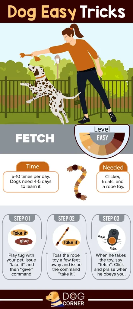 znajdź łatwą sztuczkę dla psa