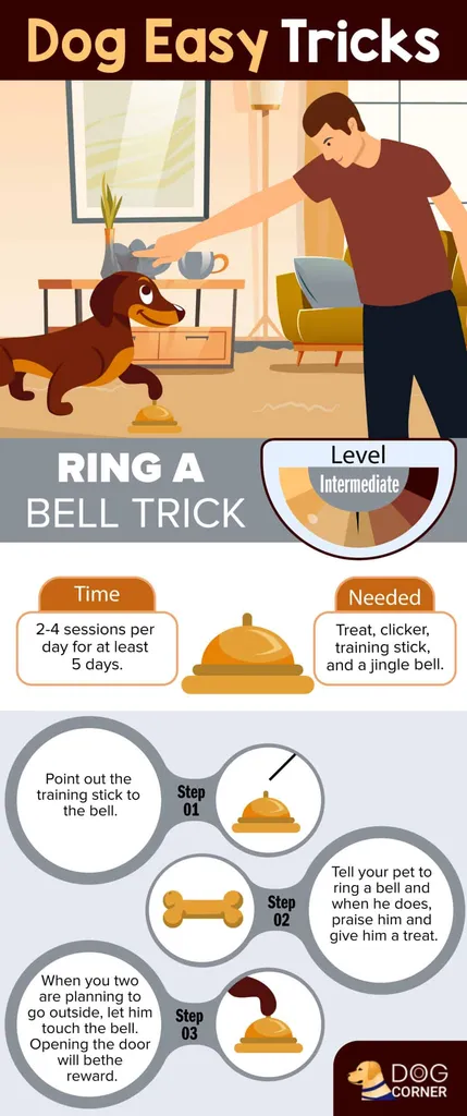 naucz swojego psa sztuczki z dzwonkiem