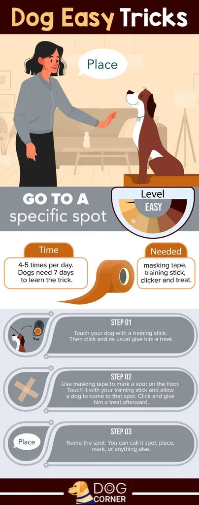 Dog Trick Idź do określonego miejsca