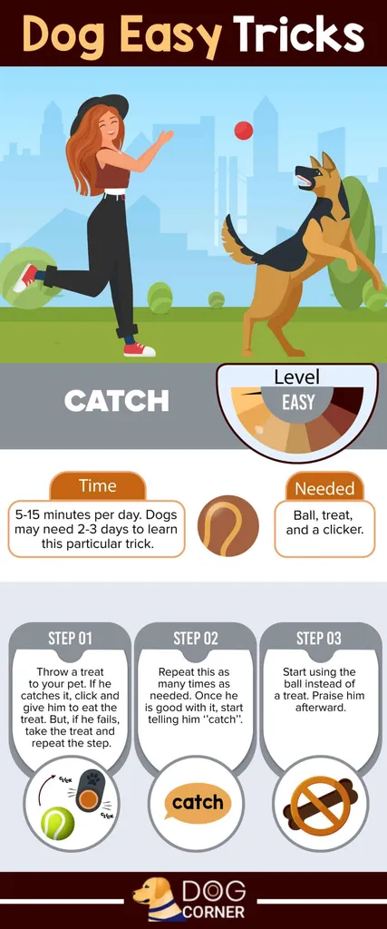 łapanie łatwych sztuczek dla psa