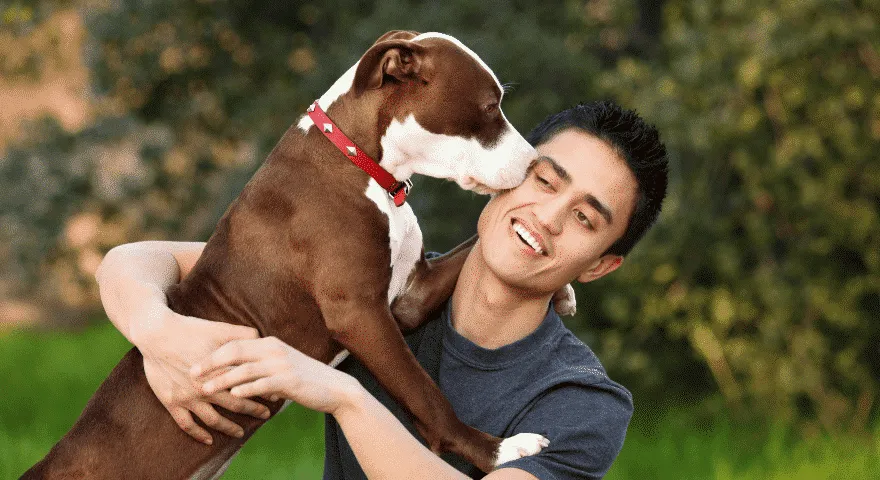 Jak powstrzymać psa przed lizaniem Cię