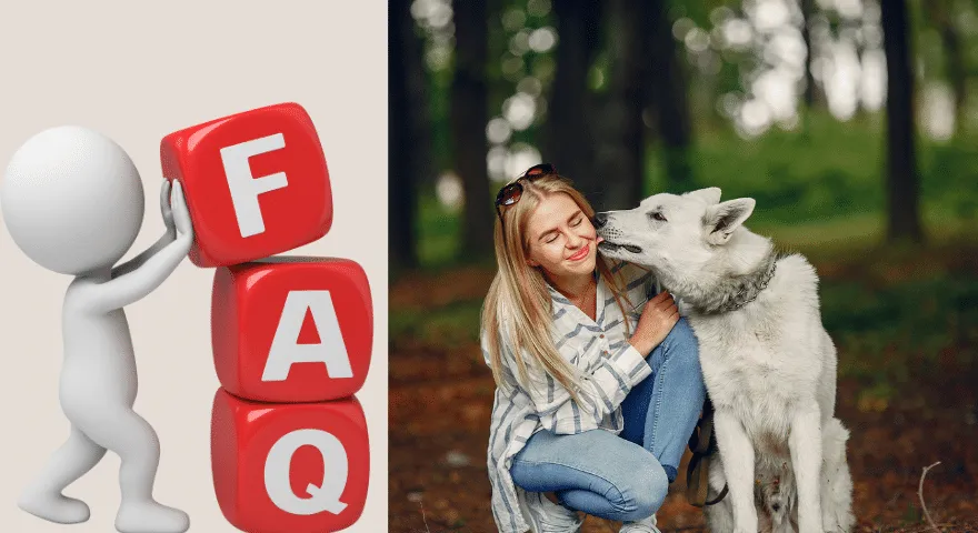 faqs Dlaczego psy liżą Twoją twarz