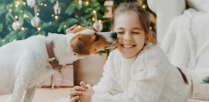 Varför slickar hundar ditt ansikte? Ett hundbeteende förklarat