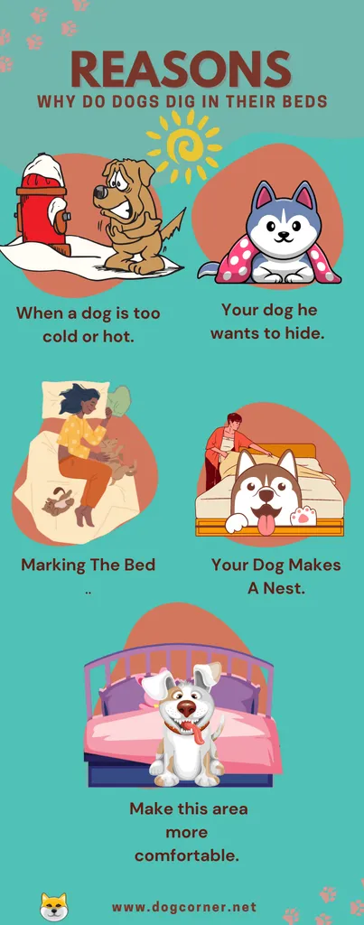 Powody, dla których psy kopią w swoich łóżkach