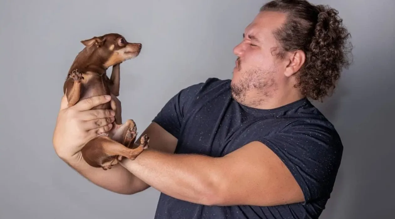 hund lugter dårligt